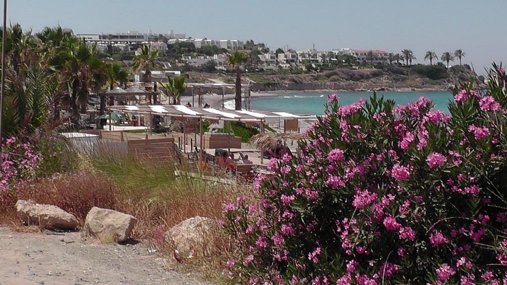 Kissonerga Sunset With Sea And Coastal Views Penthouse Apartment מראה חיצוני תמונה